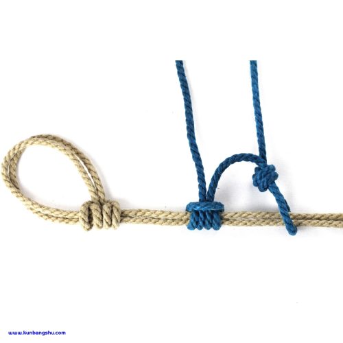 雷德梅恩抓结 Redmayne Catch【 21P+1V】