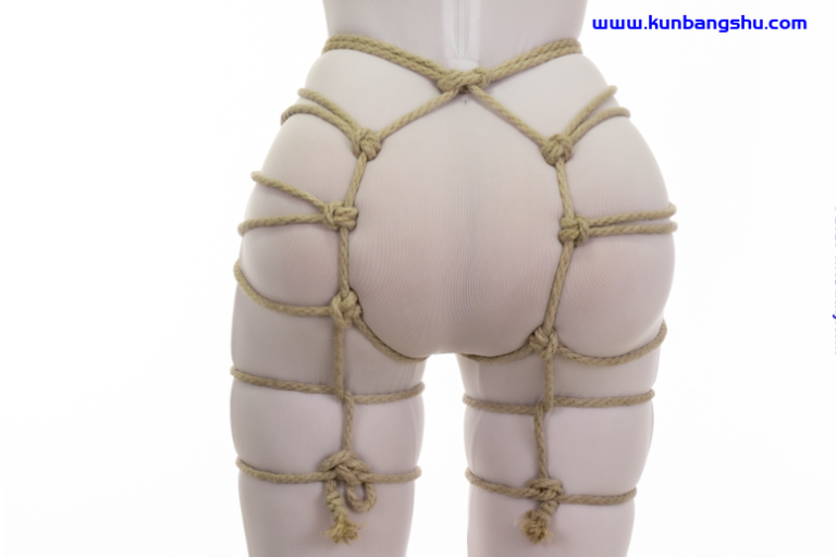 龟壳臀束 – 锁定  Kikkou Hip Harness – Locked【48P+1V】