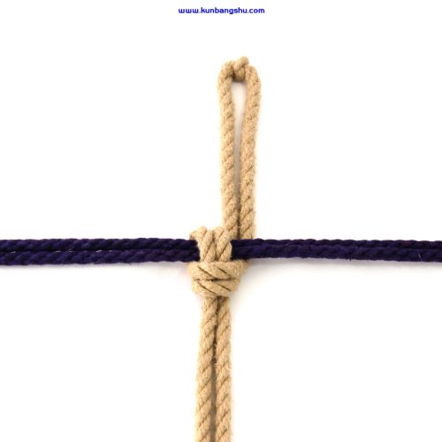 交叉半扣结（别名缪特尔结、单环结）Crossing Hitch (Munter Hitch or Nodome)【10P】