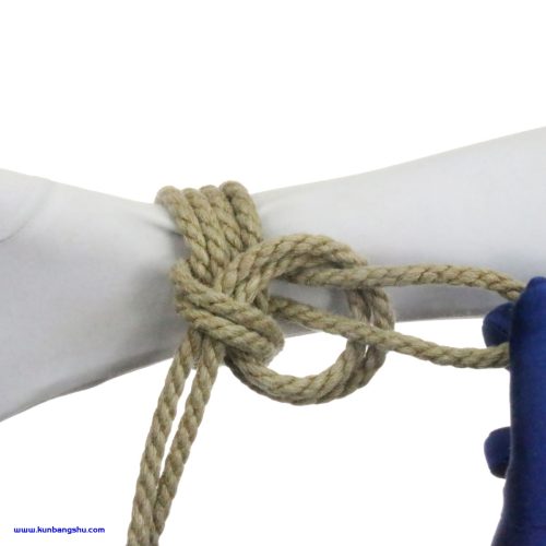 萨默维尔布林结 【58P】