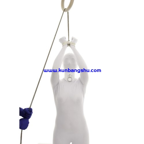 承重式双柱缚 Load-bearing Double Column【18P】