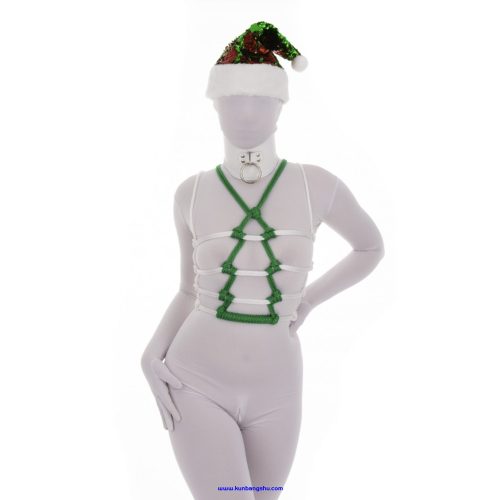 圣诞树派对顶部 Christmas Tree Party Top 【164P】