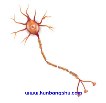 小纤维神经病变