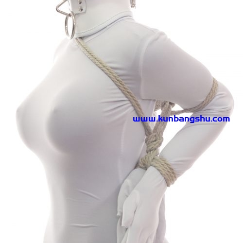 无法逃脱 The Inescapable【42P+1V】