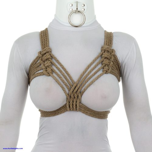 CHC胸束 CHC Harness【147P+1V】