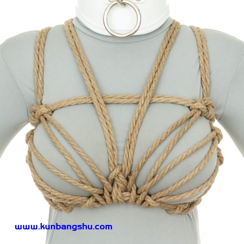 夕阳绳束 Sunset Harness【41P+1V】