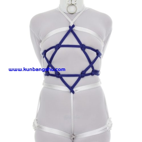 光明节线束 Hanukkah Harness【96P+1V】
