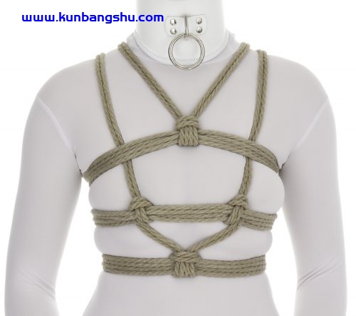 绳仙的爱抚 RopeFairy’s Caress【106P+1V】