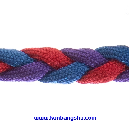 辫子 (B3) 【19P+1V】