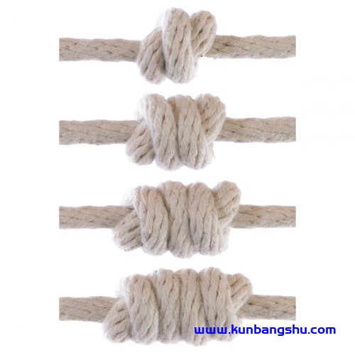 血结（BK）【34P+1V】