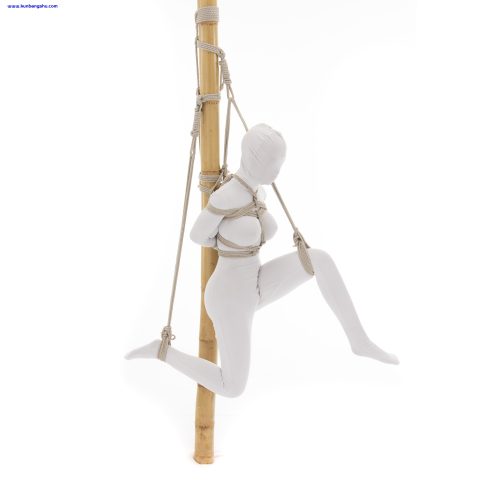 柱（垂直梁）缚  Hashira (Vertical Beam) Shibari【44P】