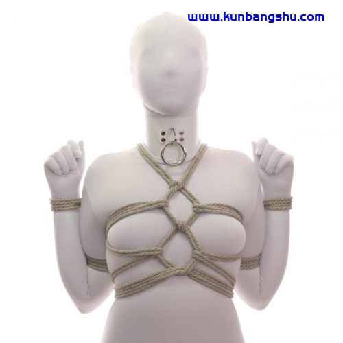 天狗 Tengu【106P+1V】