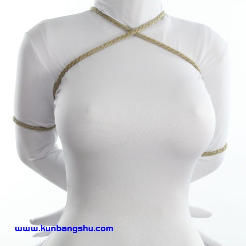 捕绳术一达流（真）Hojōjutsu Ittatsu-ryu (Real)【33P】